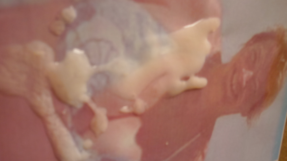 Sex Gallery Alison from Brighton gets a load of TosserTim seed