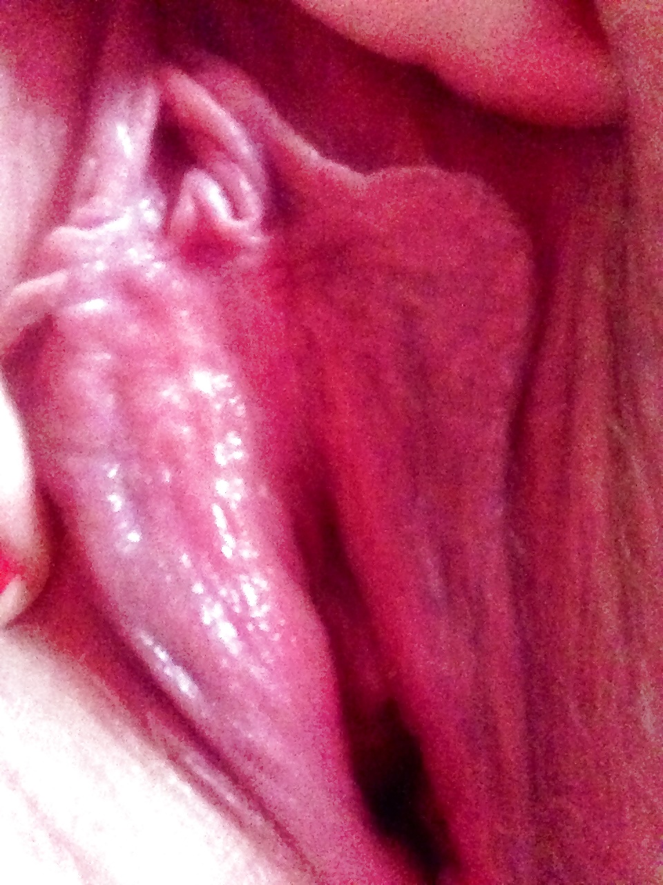 Sex Gallery Pussy
