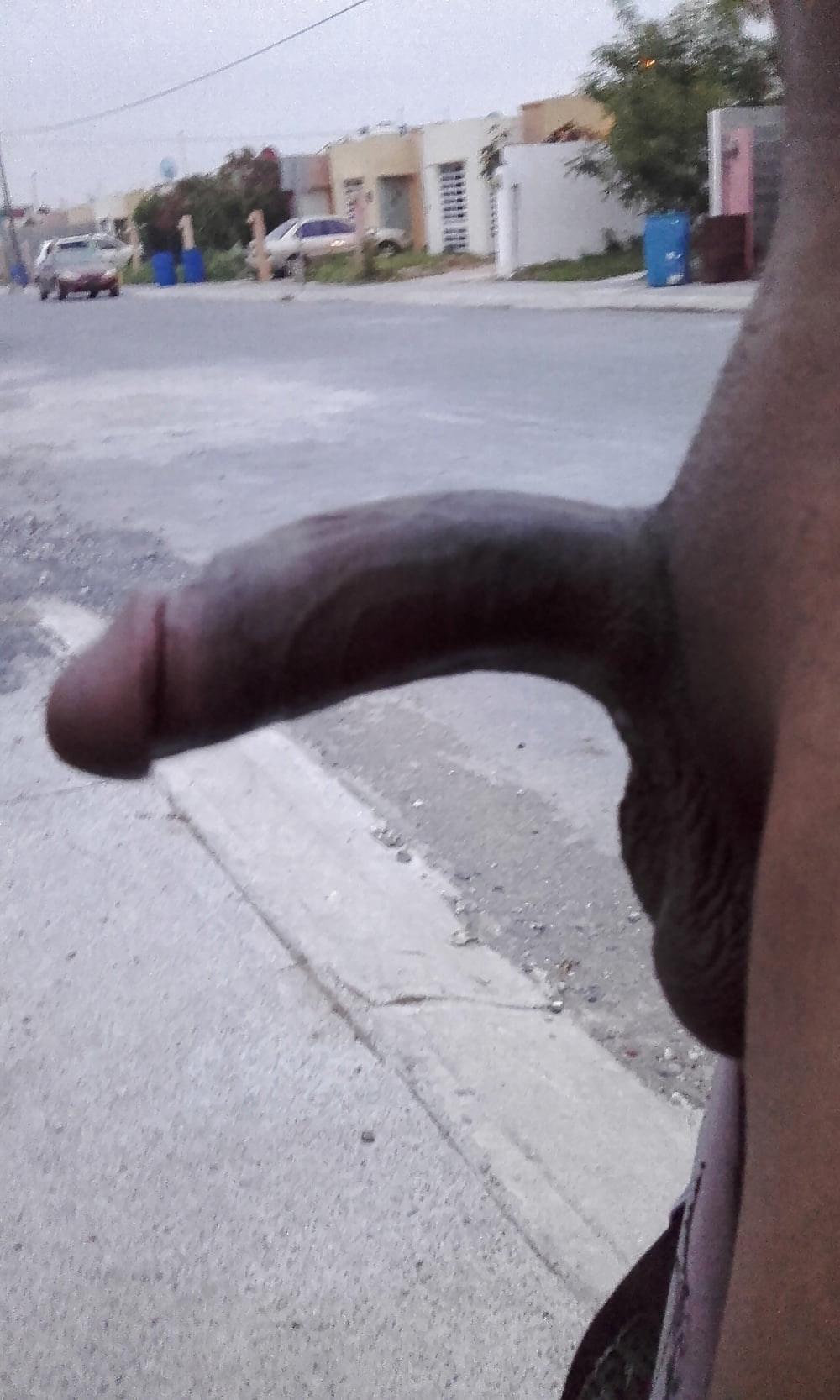 Sex Gallery con la verga bien parada en la calle