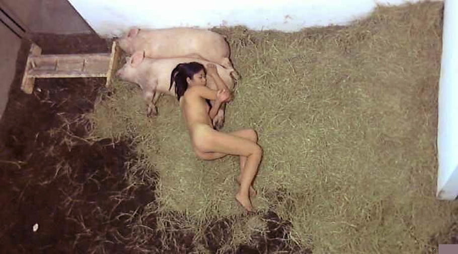 Fucked By A Pig