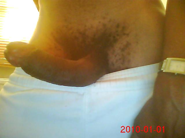 Sex Gallery HARD OVER HAMSTER MEMBERS