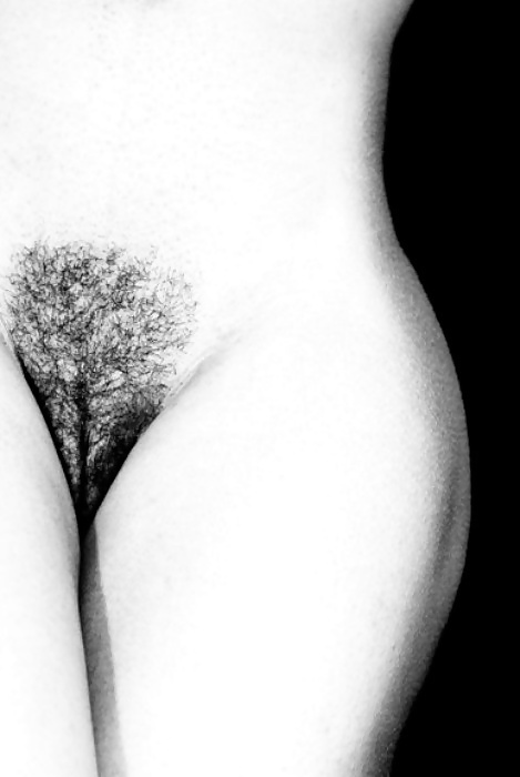 Sex Gallery Hairy