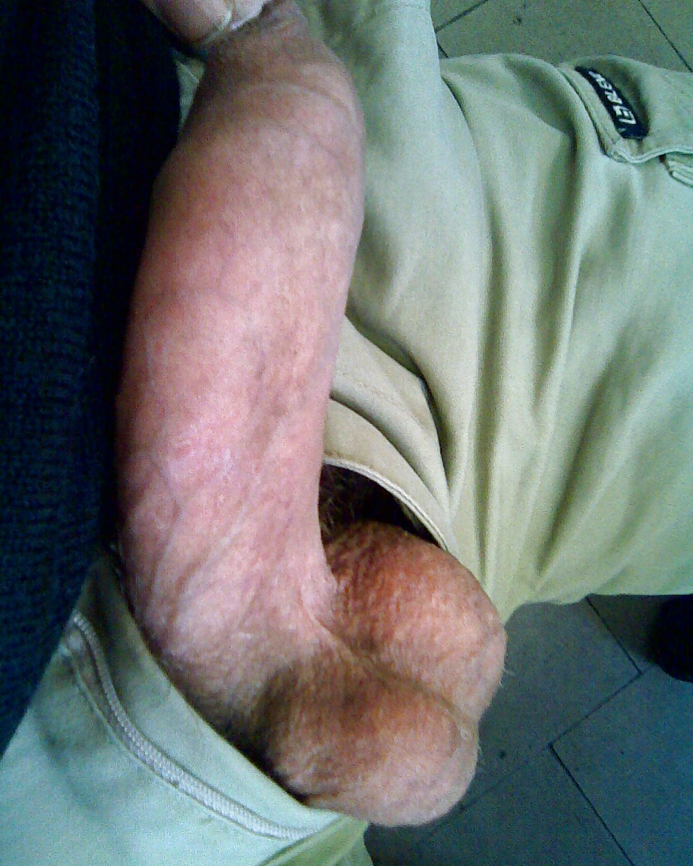 Sex Gallery Various pics of my belgian Cock (old pictures)