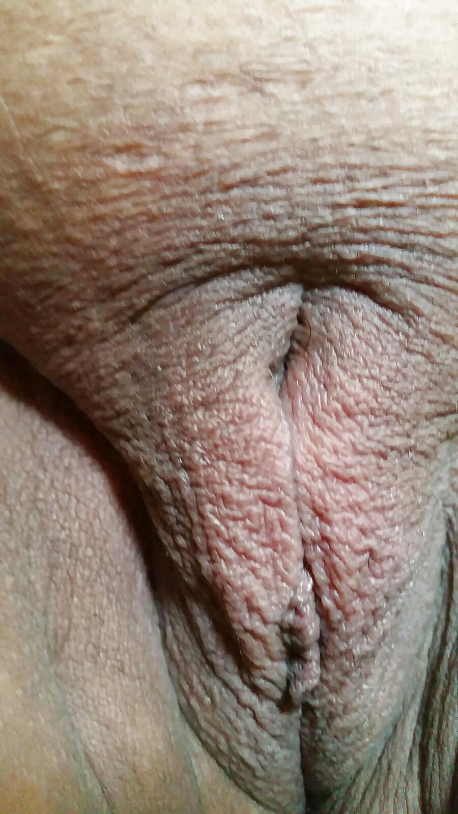 Sex Gallery my mature bitch new new