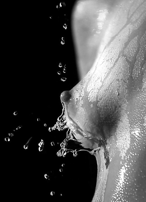 Sex Gallery Arte Erotica