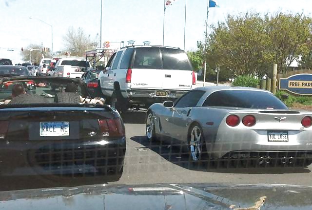 Sex Gallery Girls and Diverses 52