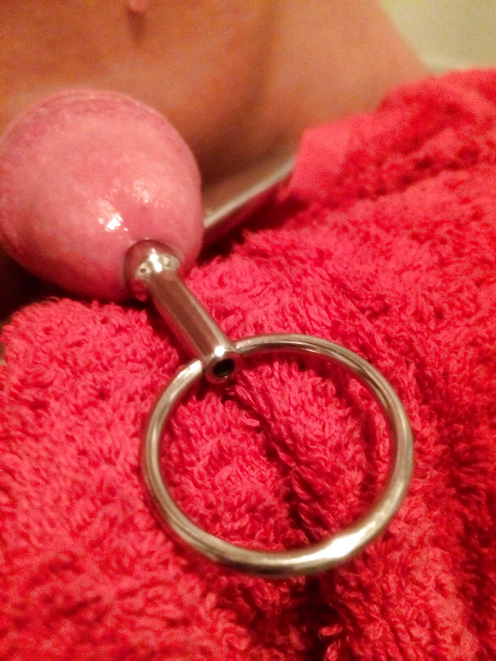 Sex Gallery Hot cock tonight 10 mm sounding plug