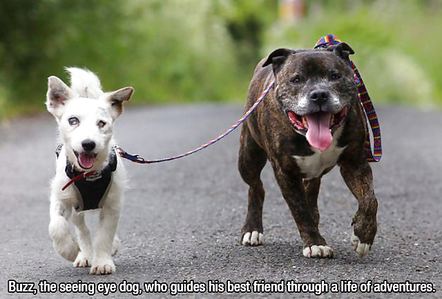 Sex Gallery Girls and Diverses 120