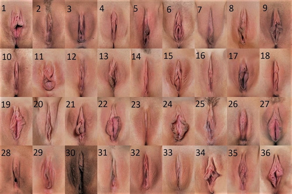 Free porn samples of wired pussy