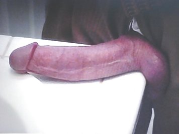 Sex Gallery My Man's Cock