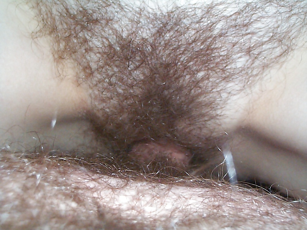 Sex Gallery Hairy Pussy Fucked