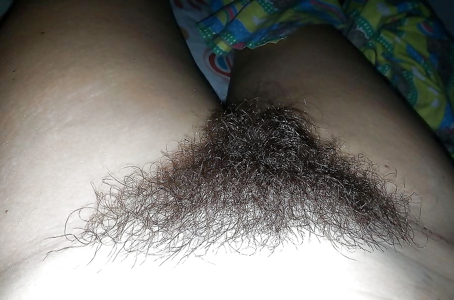 Sex Gallery Hairy Pussy Mix 1