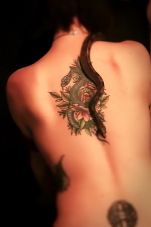 sex skulls and snakes         