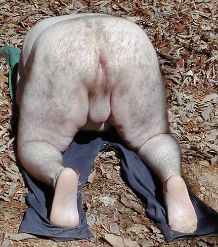 Sex Gallery i like fat ass 3