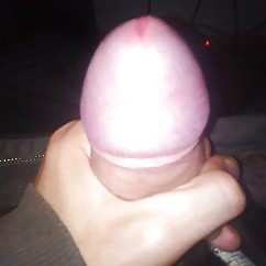 My Dick - My Cock - My Penis - Moj Kur