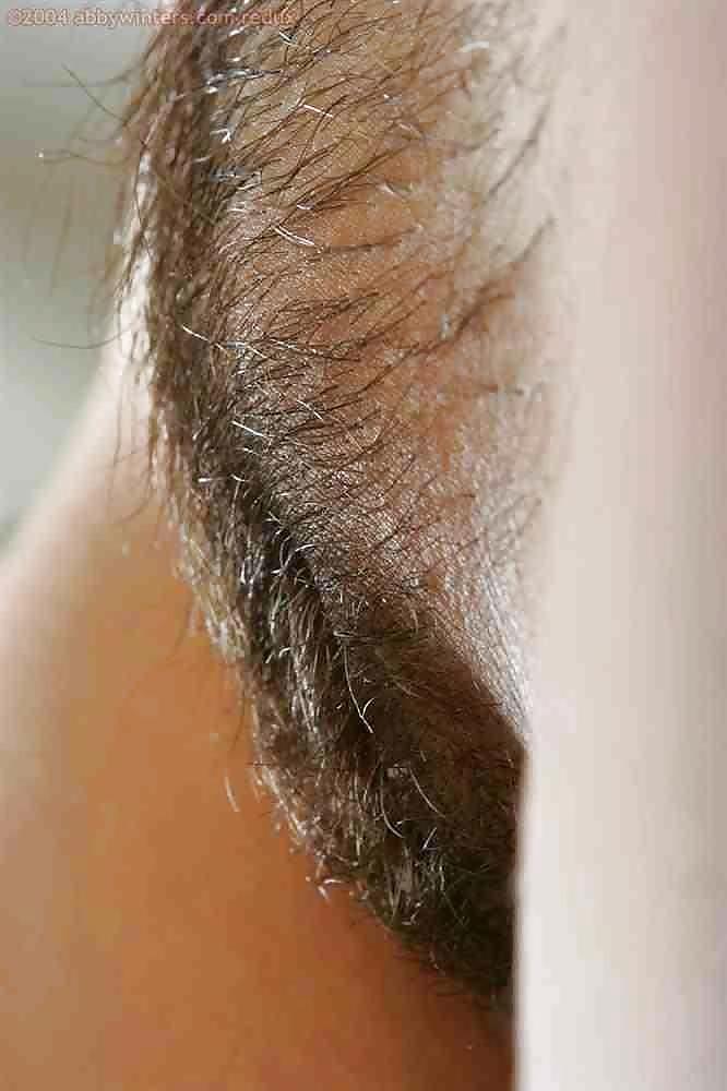 Sex Gallery hotlegs-all hairy3