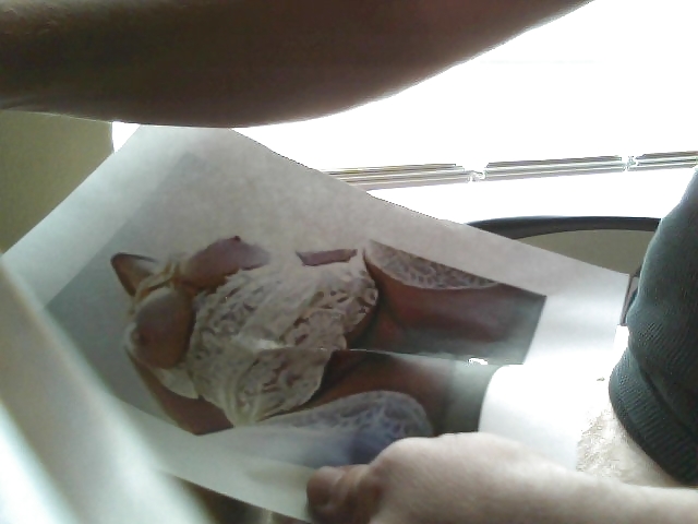 Sex Gallery Blondie 3434's request