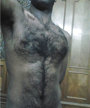 Sex Gallery sexy hairy chest