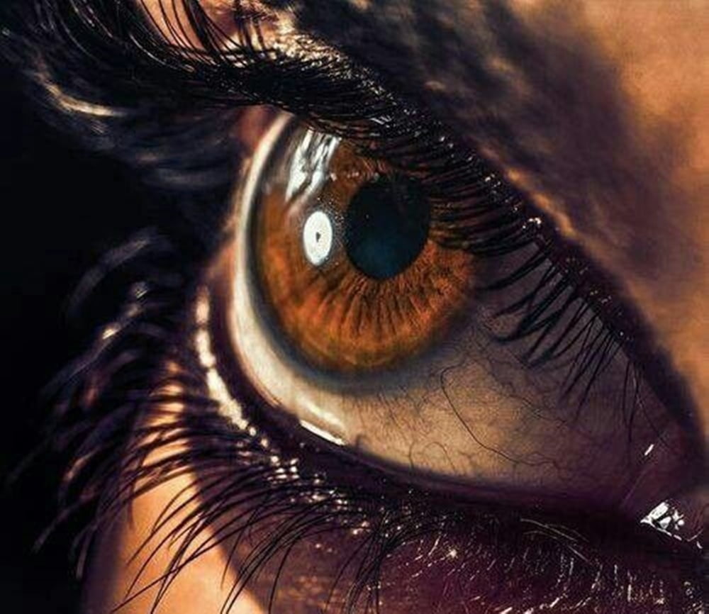 Красивое фото карих глаз. Красивые карие глаза. Красивые глаза. Женские глаза. Девушка с карими глазами.