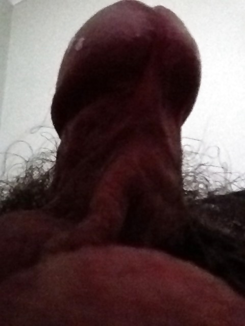 Sex Gallery My sexy small cock