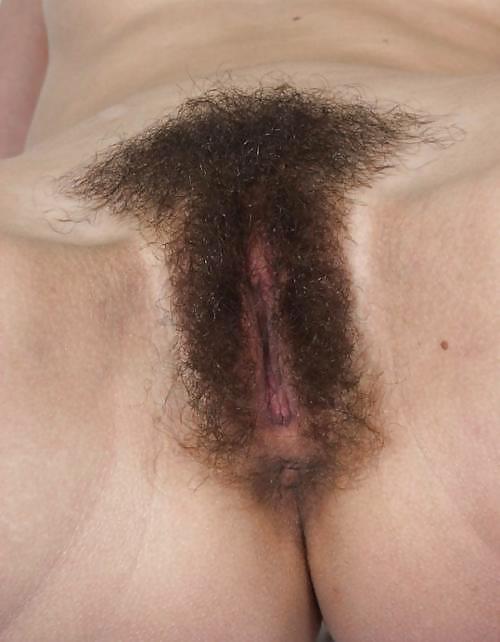 Sex Gallery Hairy