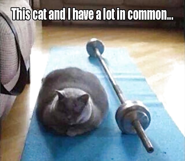 Sex Gallery Girls and Diverses 29