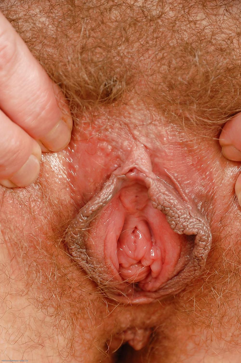 Sex Gallery Hairy pussy wet and creamy