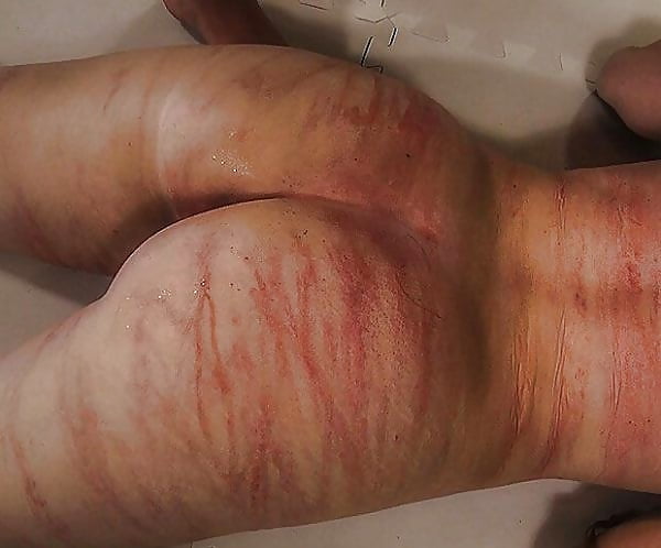 Sex Gallery salopes soumises punies