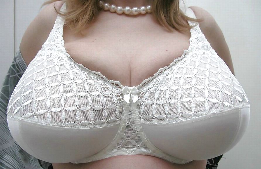 Sex Gallery Mega tits in tight bra