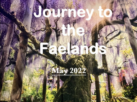 velvet rabbit free photos         