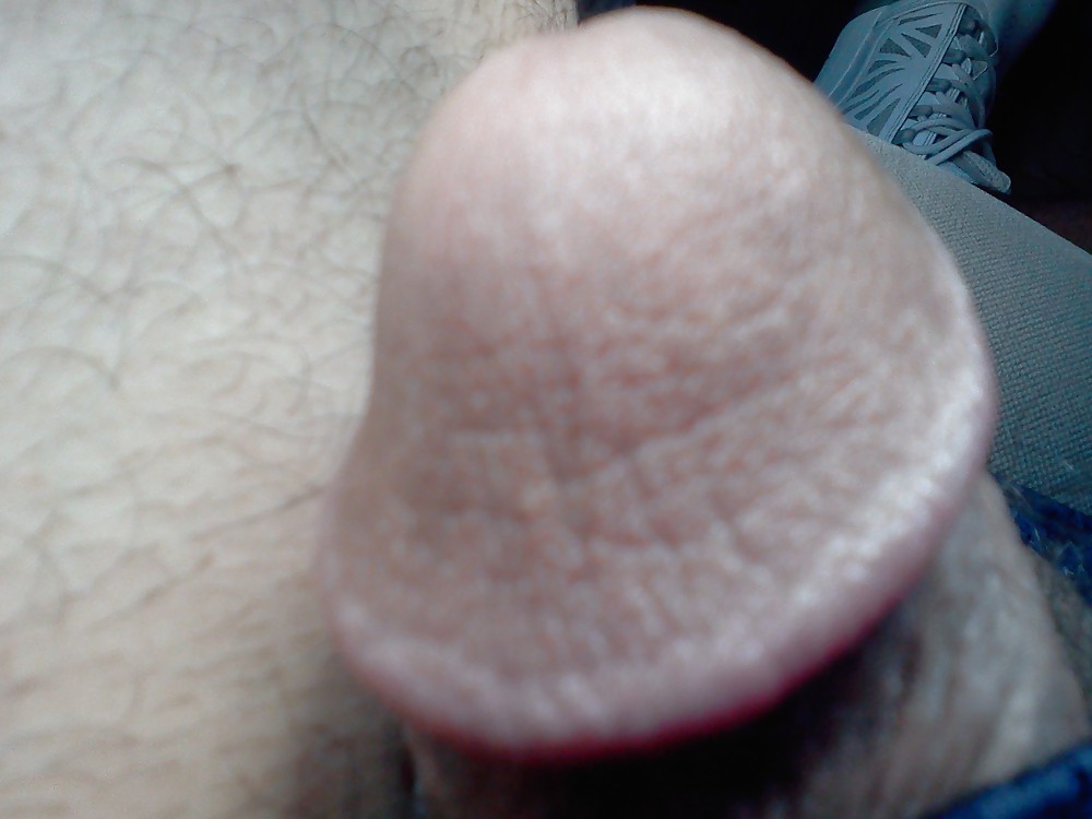 Sex Gallery fat cock and hairy balls